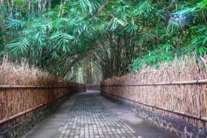 Bali: Traditional Batik & Life in Penglipuran Village