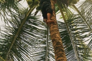 Bali: Tradisjonell landbruklandsby-tur med lunsj