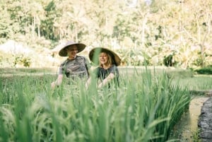 Bali: Traditional Farming Village Tour with Lunch