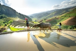 Bali: Traditional Farming Village Tour with Lunch