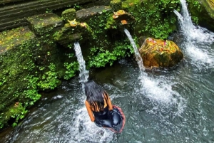 Bali: Traditional House, Canang Sari, and Melukat Tour