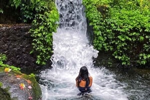 Bali: Traditional House, Canang Sari, and Melukat Tour