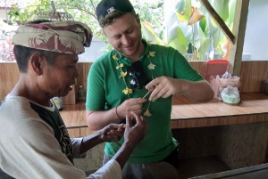 Bali: Traditional Village Life Tour