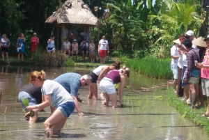 Bali: Traditional Village Life Tour