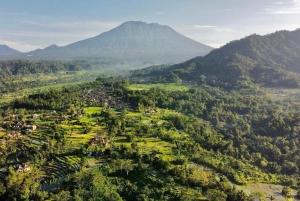 Bali: Traditional Villages, Salt Farm & Tirta Gangga Tour