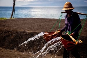 Bali: Traditional Villages, Salt Farm & Tirta Gangga Tour