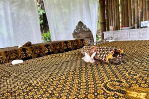 バリ：伝統的なウェディングフォトセッション + マッサージ ライステラスビュー