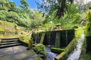 Трилогия Бали: ирригационная система субак, водопад и древний храм