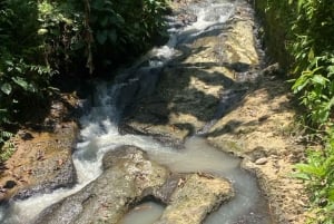 Bali Trilogy: Subak Irrigation, Waterfall & Ancient temple