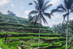 Bali Trilogy: Subak Irrigation, Waterfall & Ancient temple