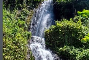 Bali Trilogy: Subak Irrigation, Waterfall & Ancient temple