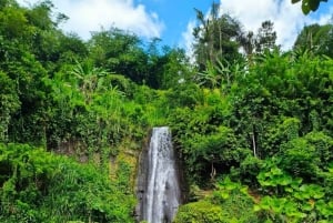 Bali Trilogy: Subak Irrigation, Waterfall & Ancient temple