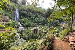 Bali Trilogy: Subak Irrigation, Waterfall & Ancient temple