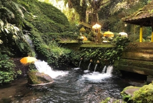 Bali Trilogy: Subak Irrigation, Waterfall & Ancient temple
