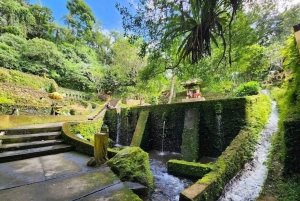 Bali Trilogy: Subak Irrigation, Waterfall & Ancient temple