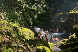 Bali Trilogy: Subak Irrigation, Waterfall & Ancient temple