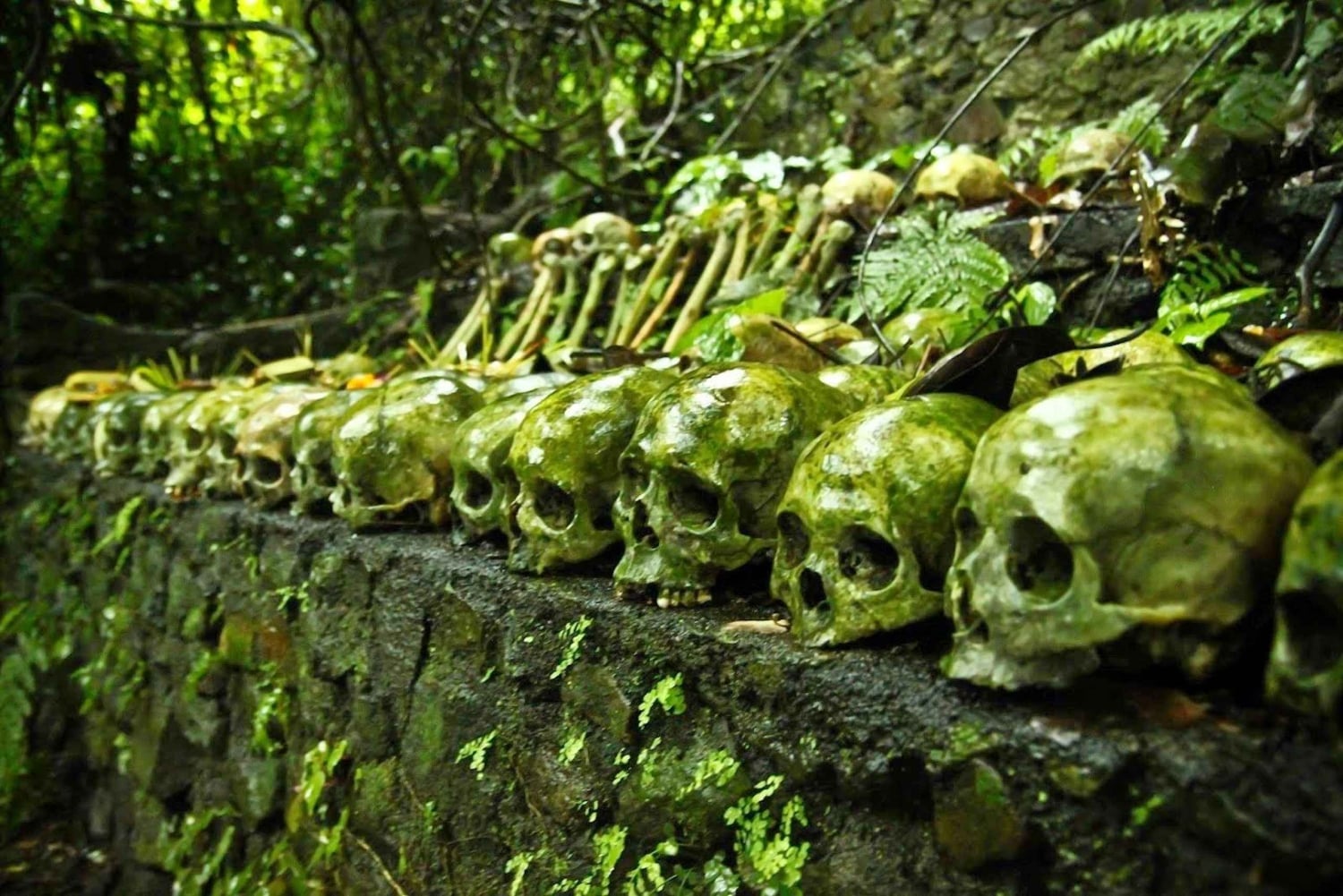 Bali: Trunyan Cemetery, Hot Springs, and Penglipuran Village