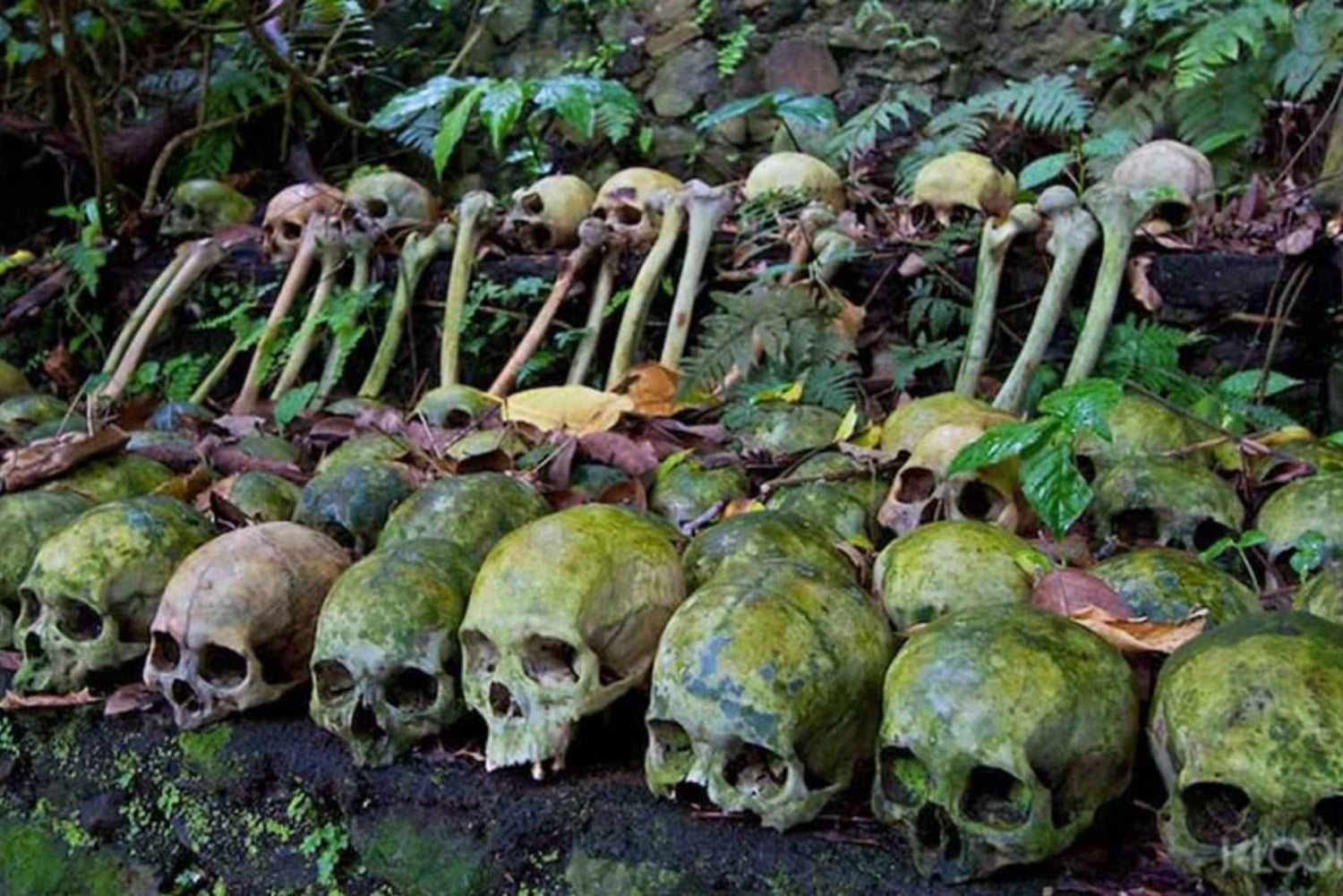 Bali: Trunyan Cemetery, Hot Springs, and Penglipuran Village