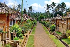 Bali: Trunyan Cemetery, Hot Springs, and Penglipuran Village