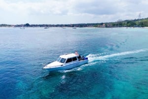 Bali : Excursion d'une journée à la piscine de Nusa Penida+2 plongées