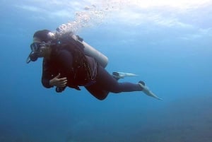 Bali : Excursion d'une journée à la piscine de Nusa Penida+2 plongées
