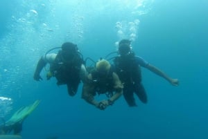 Bali : Excursion d'une journée à la piscine de Nusa Penida+2 plongées
