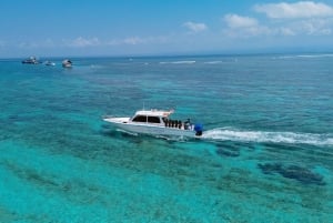 Bali: Try Scuba Diving day trip to Nusa Penida pool+2 dives