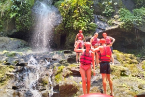 Bali Tubing-eventyr: Forfriskende flydetur gennem frodig jungle