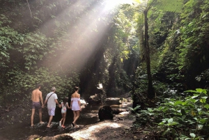 Bali: cascata di Tukad Cepung, tempio di Besakih e Tirta Gangga