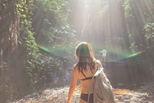 Bali: cascata di Tukad Cepung, tempio di Besakih e Tirta Gangga