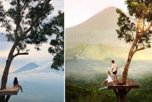Bali: cascata di Tukad Cepung, tempio di Besakih e Tirta Gangga
