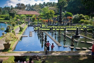Bali: cascata di Tukad Cepung, tempio di Besakih e Tirta Gangga