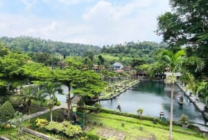 Bali: cascata di Tukad Cepung, tempio di Besakih e Tirta Gangga