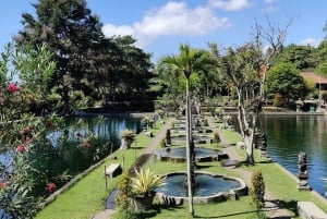 Bali: cascata di Tukad Cepung, tempio di Besakih e Tirta Gangga