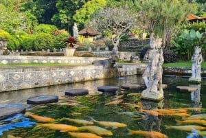 Bali: cascata di Tukad Cepung, tempio di Besakih e Tirta Gangga