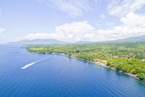 Bali: Dyk i Tulamben och runt vraket USAT Liberty