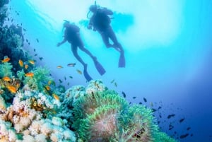 Bali: Tulamben Bay Beginner's Dive Experience