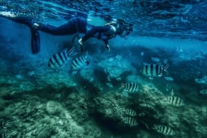 Tulamben, Bali: snorkeling al relitto Liberty e kayak in una gita di 1 giorno
