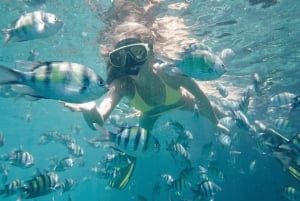 Bali Tulamben: Liberty Shipwreck Snorkeling & Kayak Day Trip