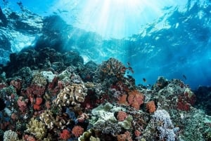 Bali Tulamben: Liberty Shipwreck Snorkeling & Kayak Day Trip