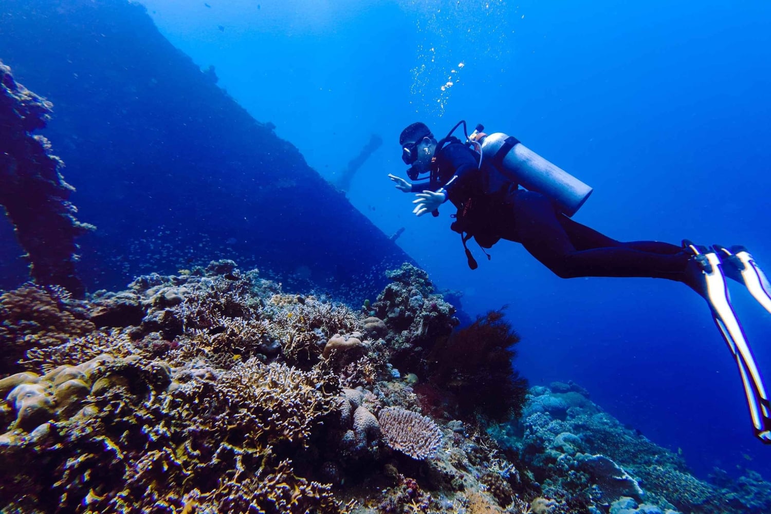 Bali: Tulamben Liberty Wreck Dive & Amed Kayak Trip