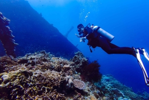 Bali: Tulamben Liberty Wreck Dive & Amed Kayak Trip