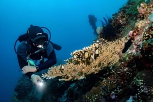 Bali: Tulamben Scuba Diving Experience