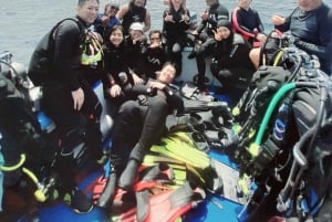 Bali: Tulamben Scuba Diving Experience