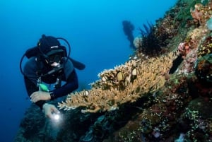 Bali: Tulamben Scuba Diving Experience