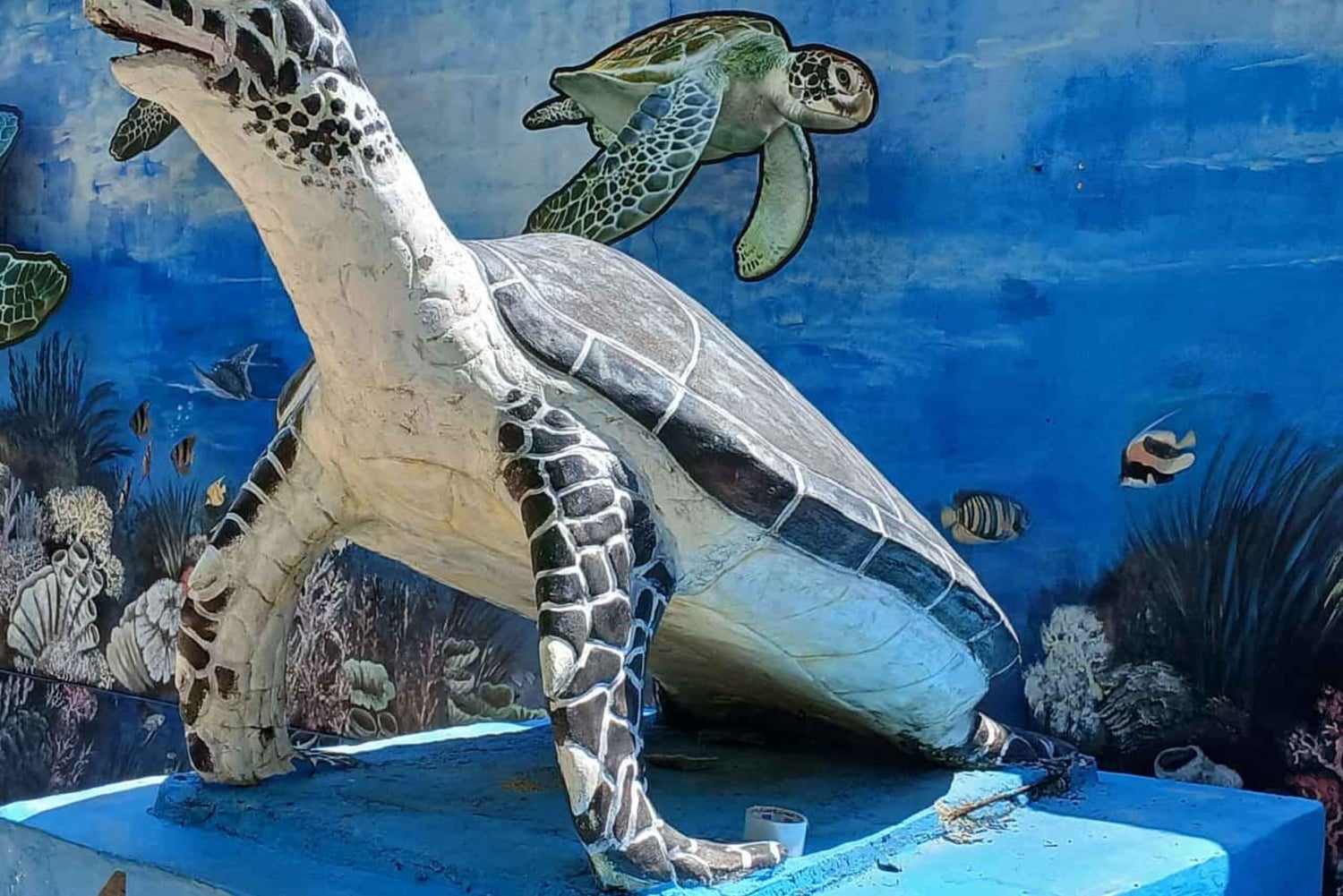 Bali: Turtle Conservation and Education Tour & Local Market