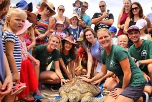 Bali: Turtle Conservation and Education Tour & Local Market