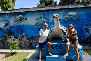 Bali: Turtle Conservation and Education Tour & Local Market