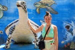 Bali: Turtle Conservation and Education Tour & Local Market