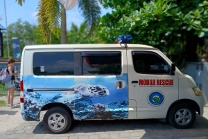 Bali: Turtle Conservation and Education Tour & Local Market